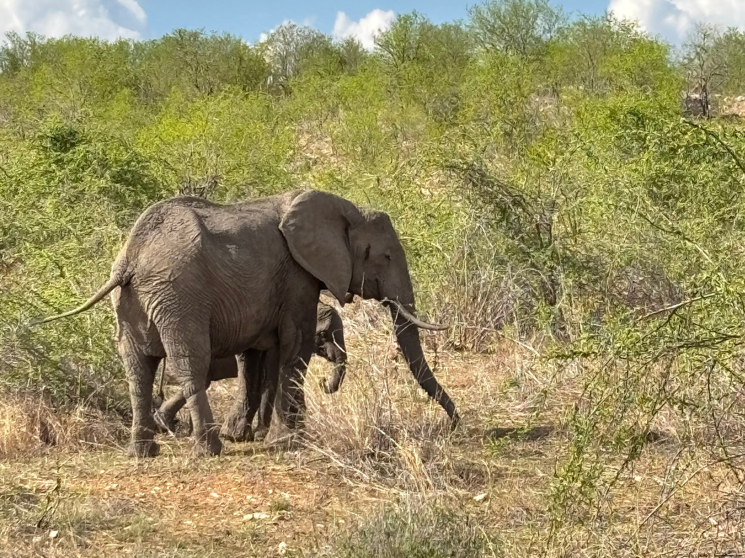 Sam safari & tours-Iringa必去景点