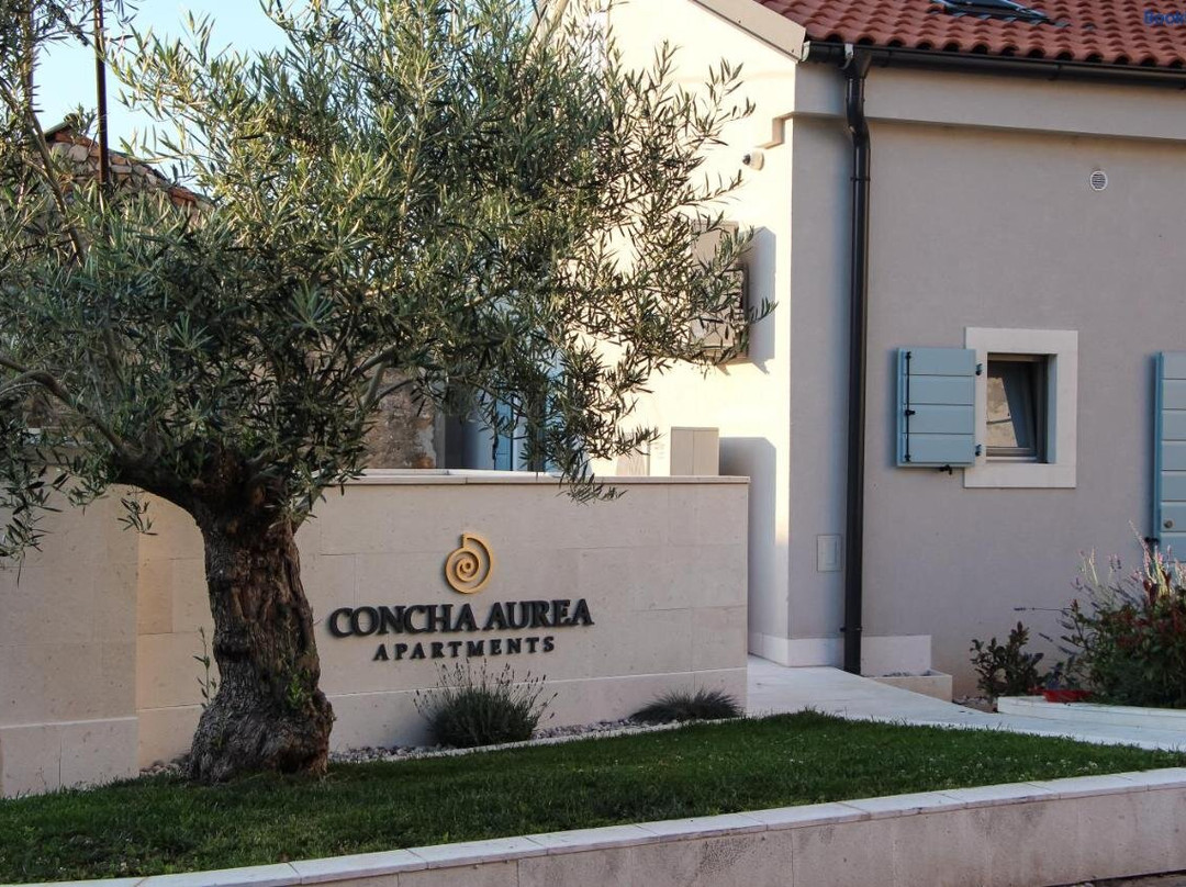 Concha Aurea Apartments