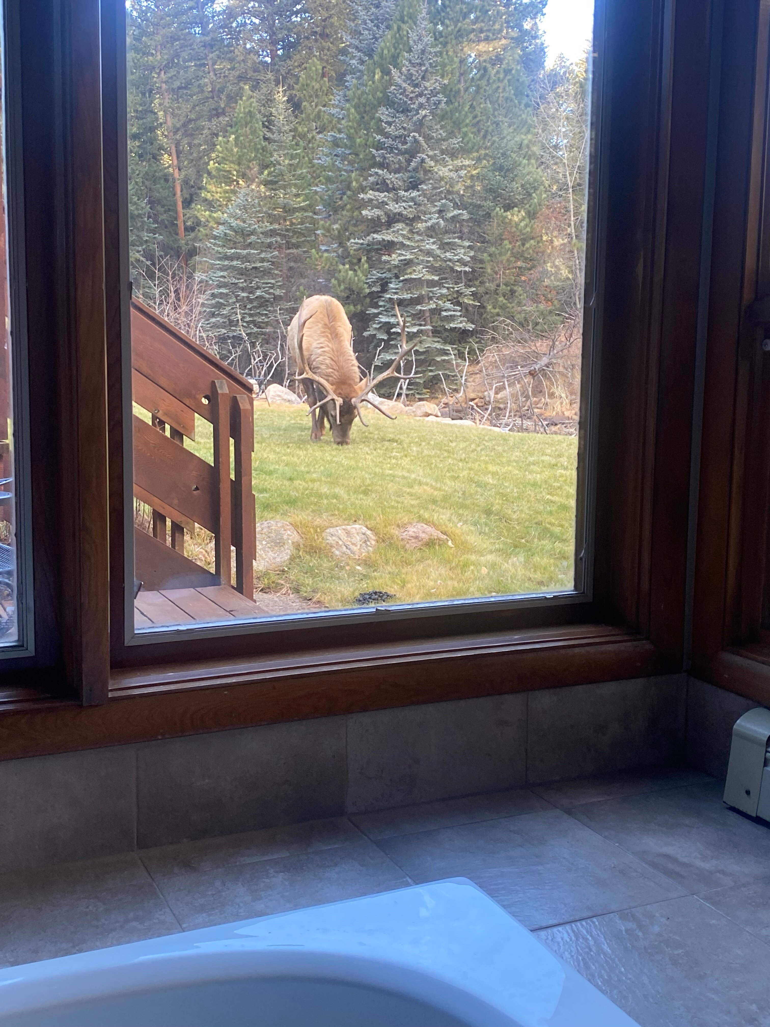 Boulder Brook on Fall River-官方