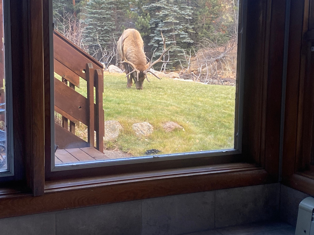 Boulder Brook on Fall River主图