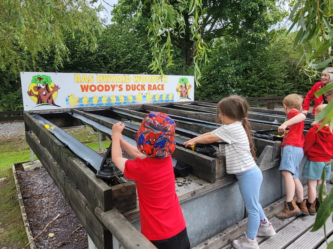 Gypsy Wood Park-卡那封必去景点