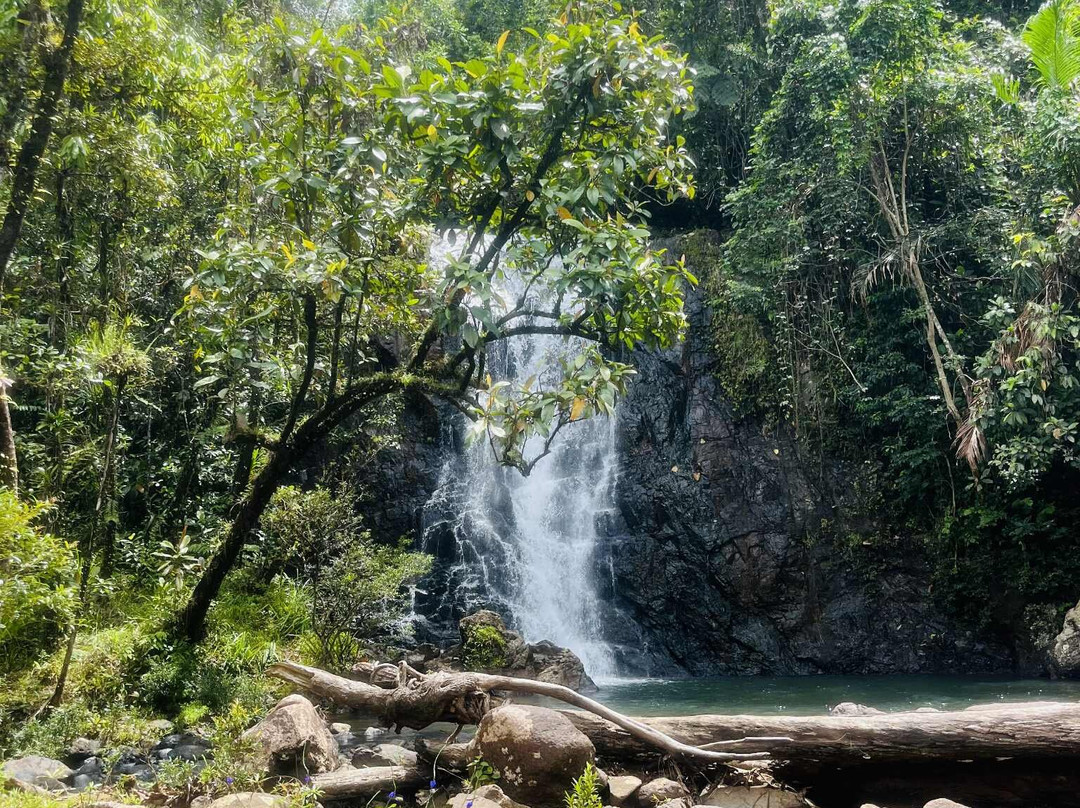 Terra Trek Tours-太平洋港必去景点