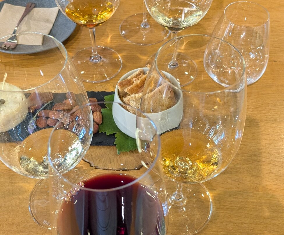 Fitapreta Vinhos-埃武拉必去景点