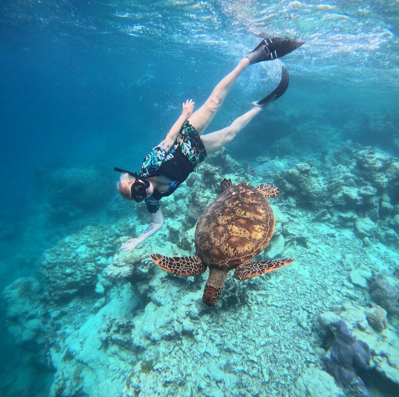 Sea Pace Rarotonga-堤堤卡维加必去景点