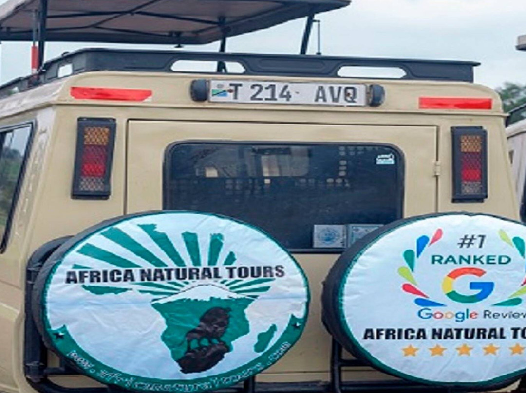 Tanzania Tours – #1 Best and World-Class Tanzania Tour Packages for 2026/2027