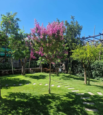 Core 'e Pasta-Meta必去景点