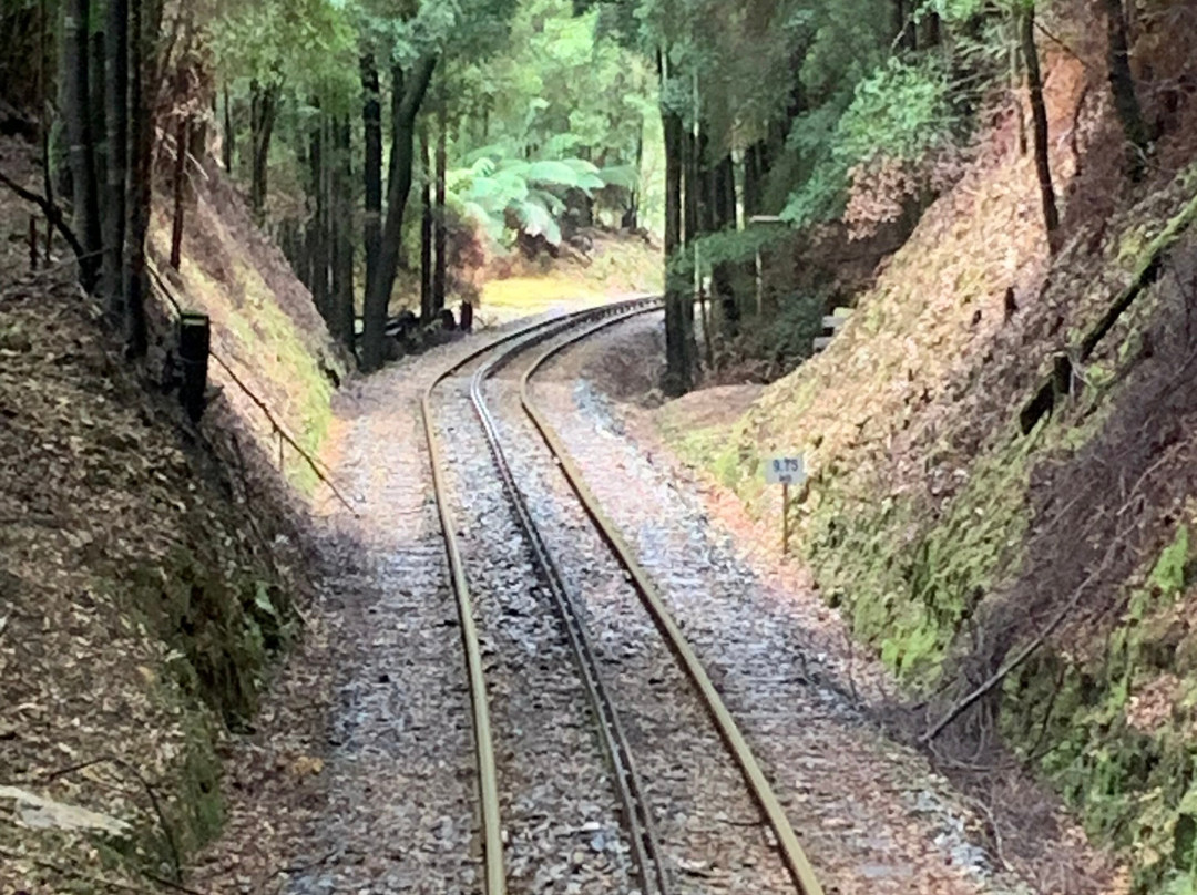 West Coast Wilderness Railway-皇后镇必去景点