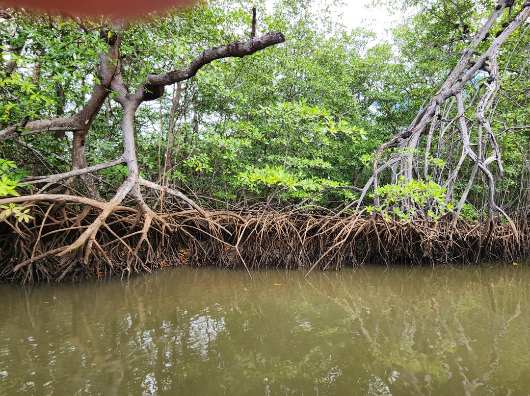 ConchalFun-孔查沙滩必去景点