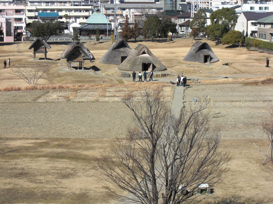 Toro Park-静冈市必去景点