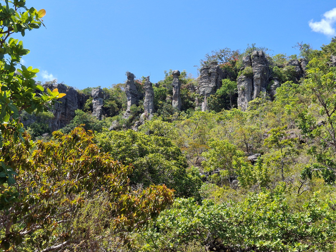 NW Transfer & Tourism-Monte Alegre必去景点