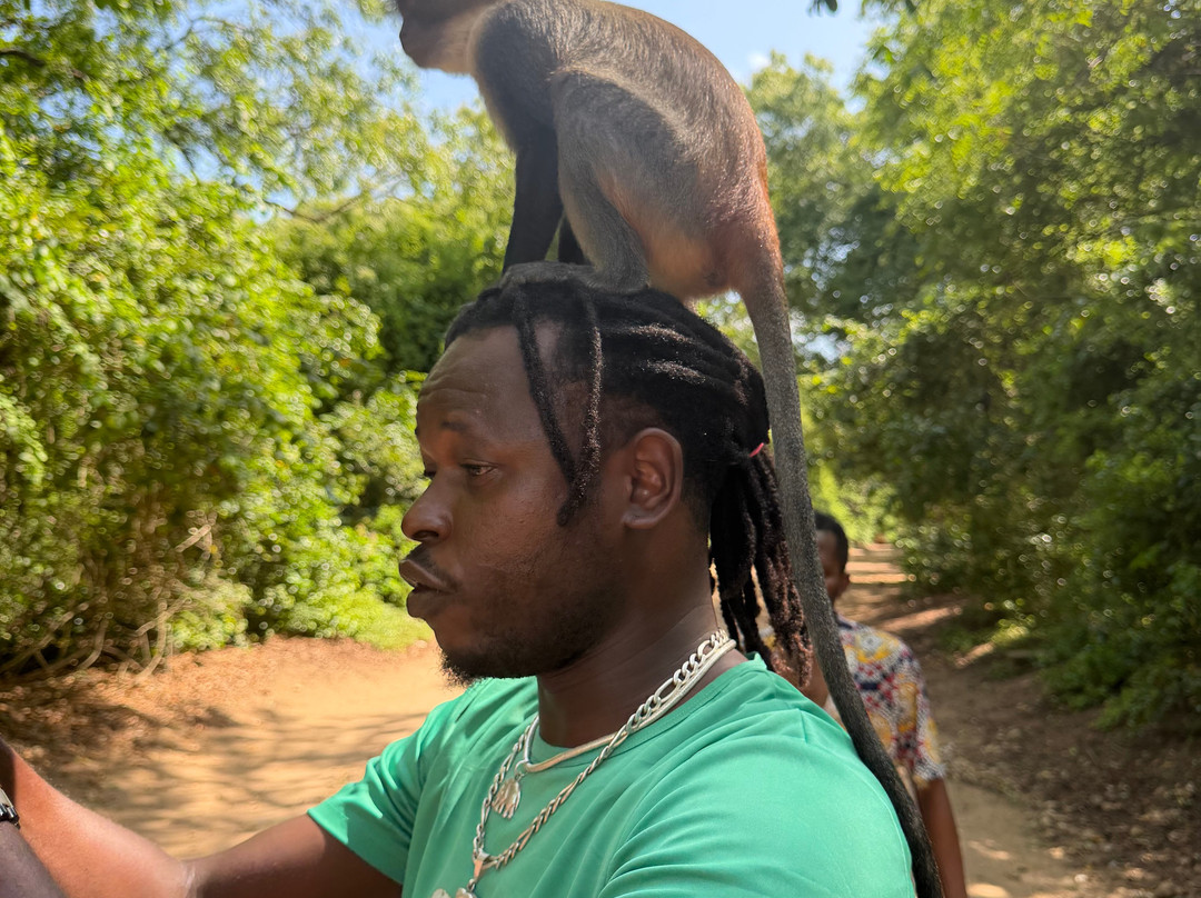 Cassano Escursioni Kenya-瓦塔木必去景点