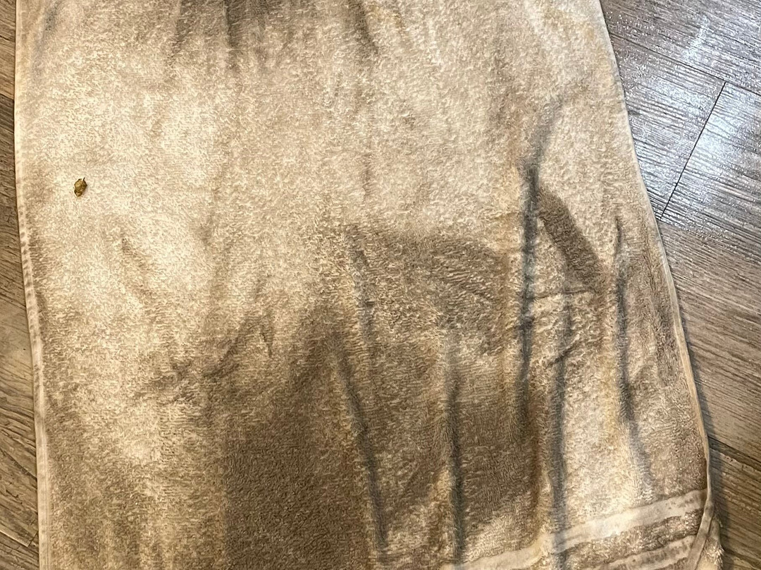 SureStay By Best Western Ukiah主图