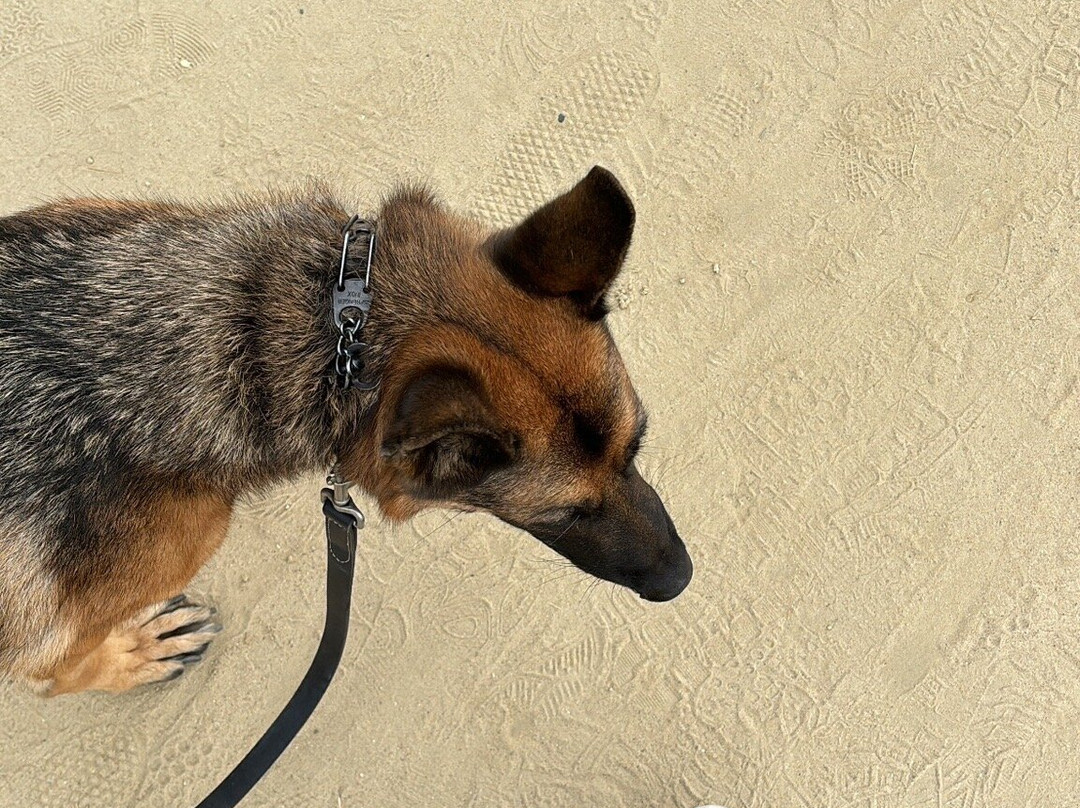 San Clemente Coastal Trail-圣克莱蒙顿必去景点