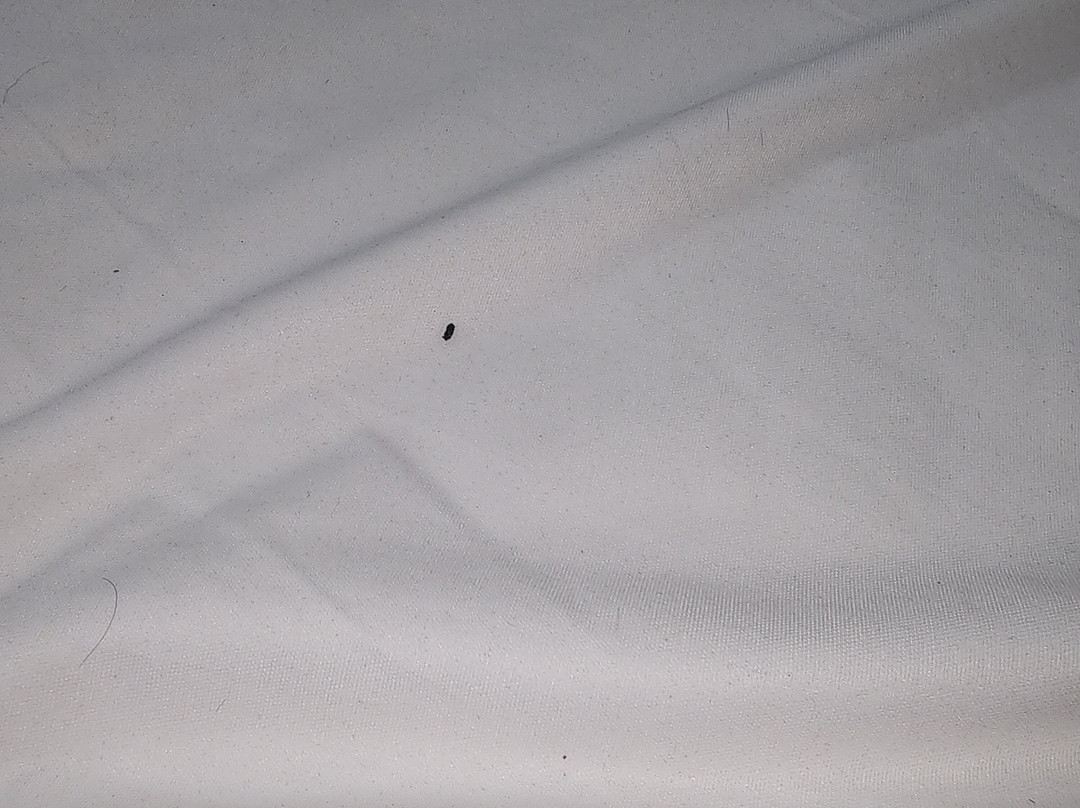 Hyatt Place Birmingham Hoover主图