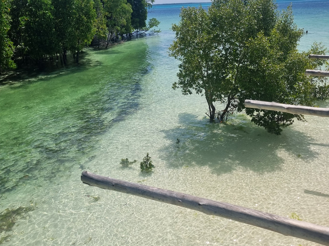 Mpole Bungalows主图