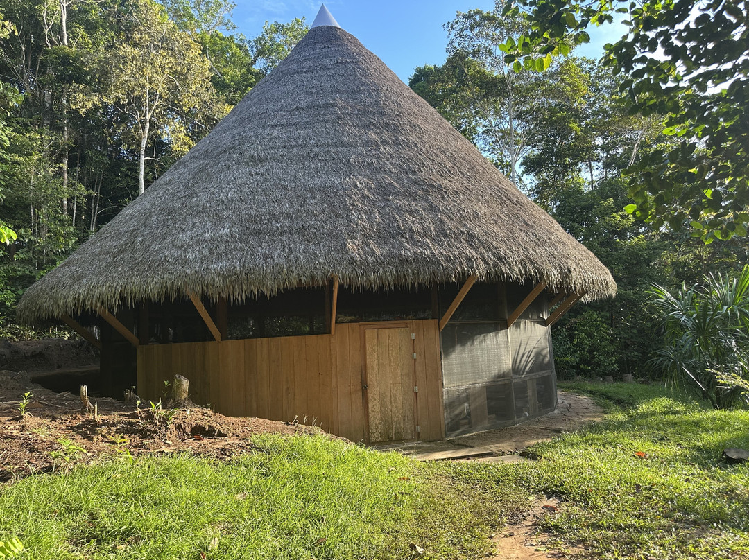 Psychonauta Foundation-伊基托斯必去景点