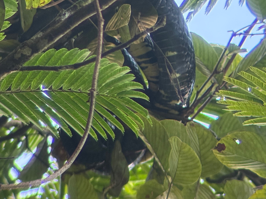 Ecogarden Arenal Family Project-福德圣卡洛斯必去景点