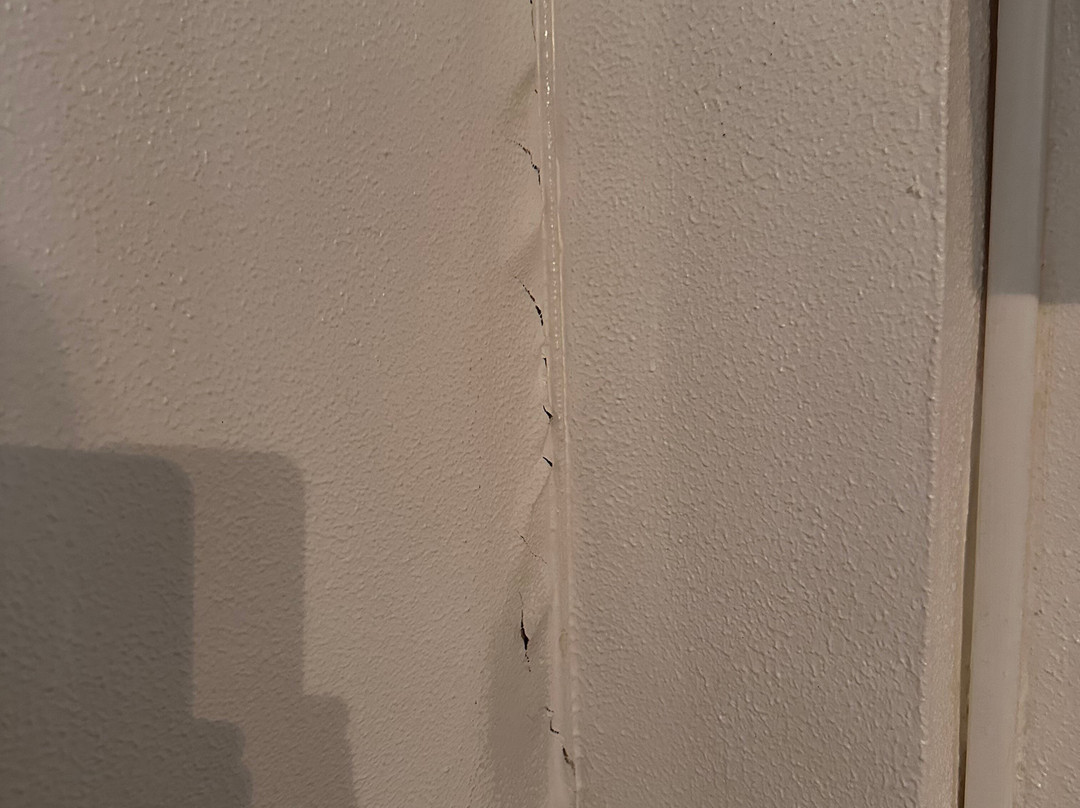 Hôtel des Platanes主图