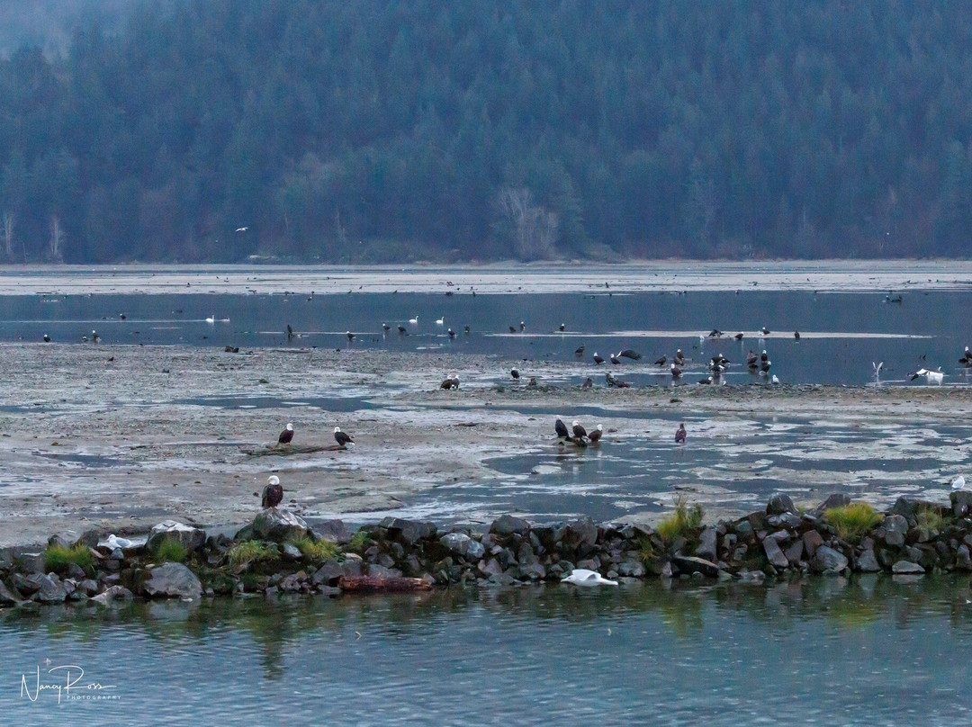 Harrison Eco Tours-哈里逊温泉必去景点