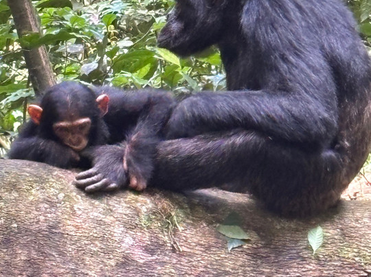 Eco Adventure Safaris-恩德培必去景点