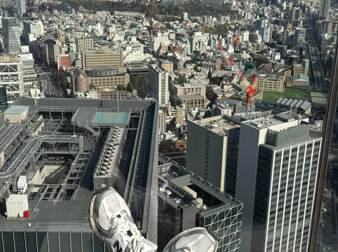 Shibuya Sky-涩谷区必去景点