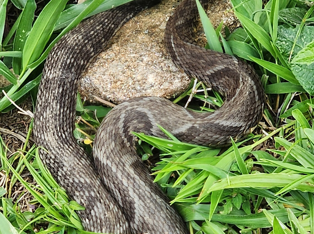 Pedra Branca-Caldas必去景点