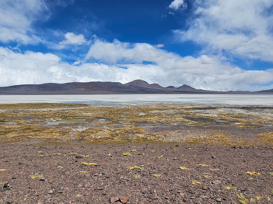 Laguna Brava-null必去景点