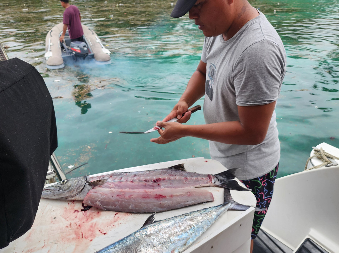 Catamaran Adventures San Blas-埃尔波韦尼尔必去景点