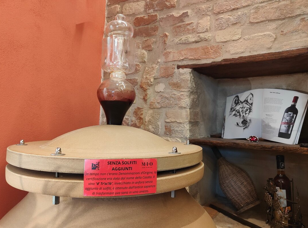 M.i.o. Made In Offida - Vinisanfilippo-Offida必去景点