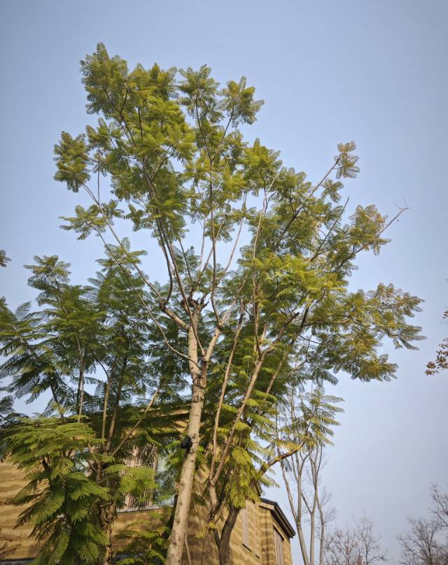 成都温江悦椿酒店主图