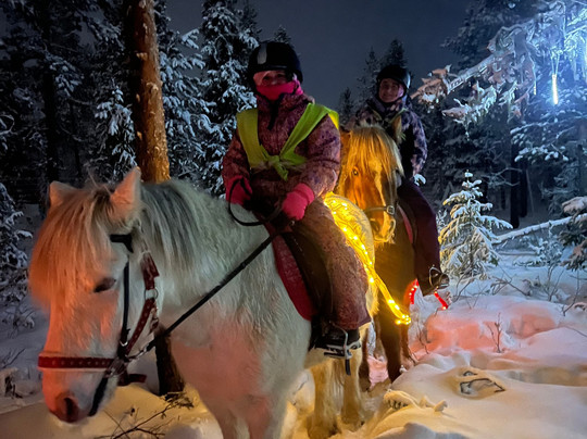 Lapin Saaga Icelandic Horse Stable in Levi-Sirkka必去景点