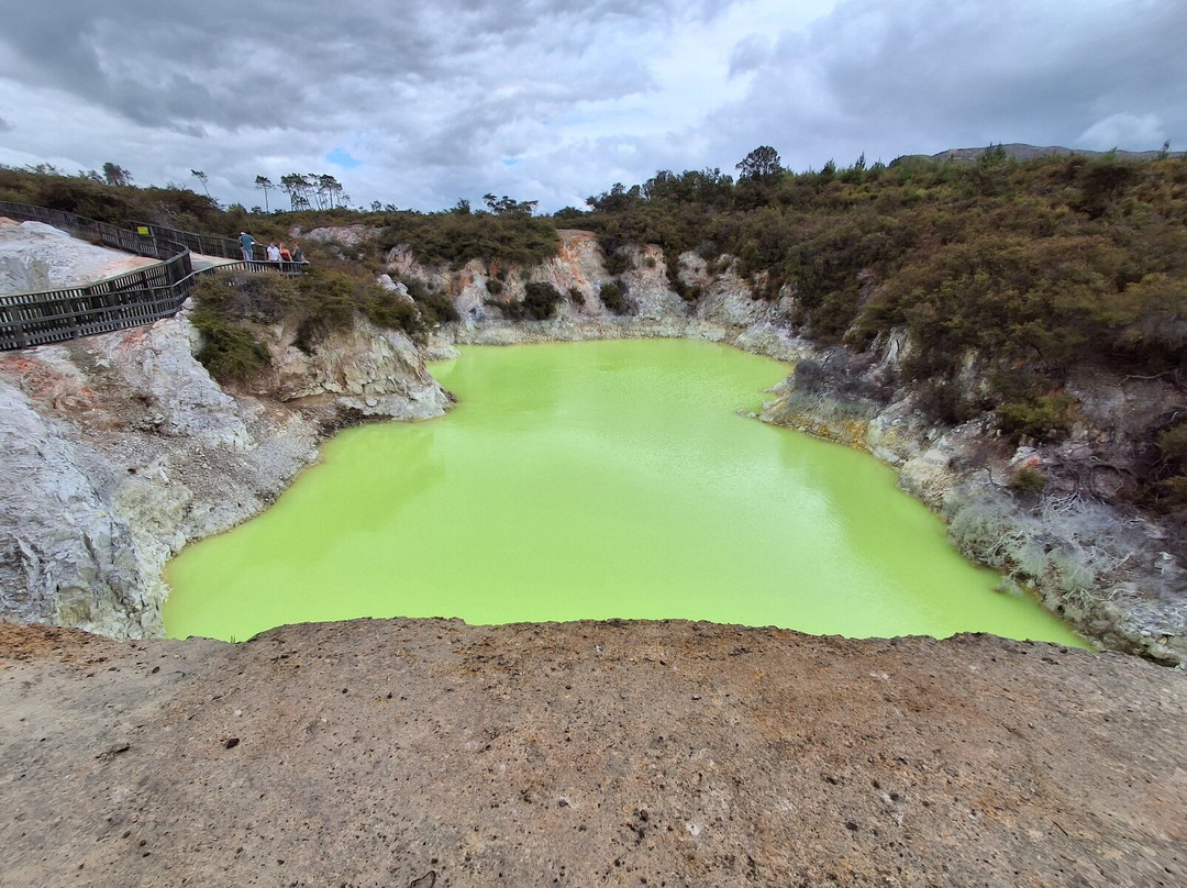 Scott Tours-陶兰加必去景点