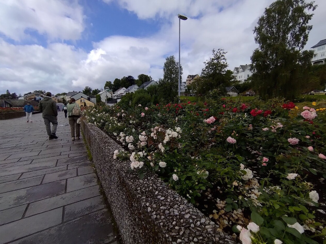 Rosehagen - rose garden