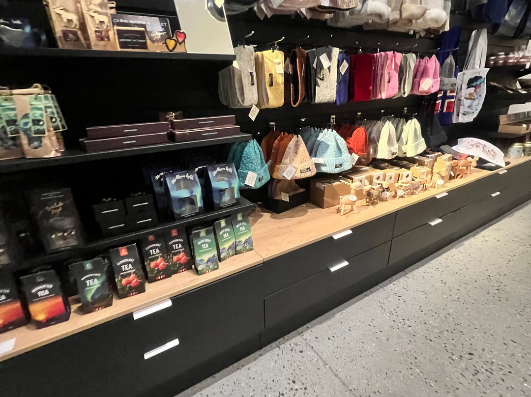 Visit Narvik Tourist Information-纳尔维克必去景点