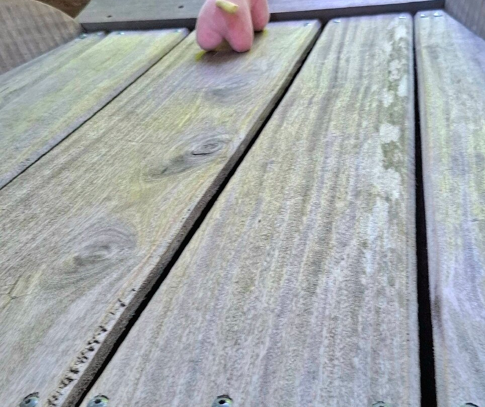 Barque Colmar "au fil de l’eau" - Sweet Narcisse-科尔马必去景点