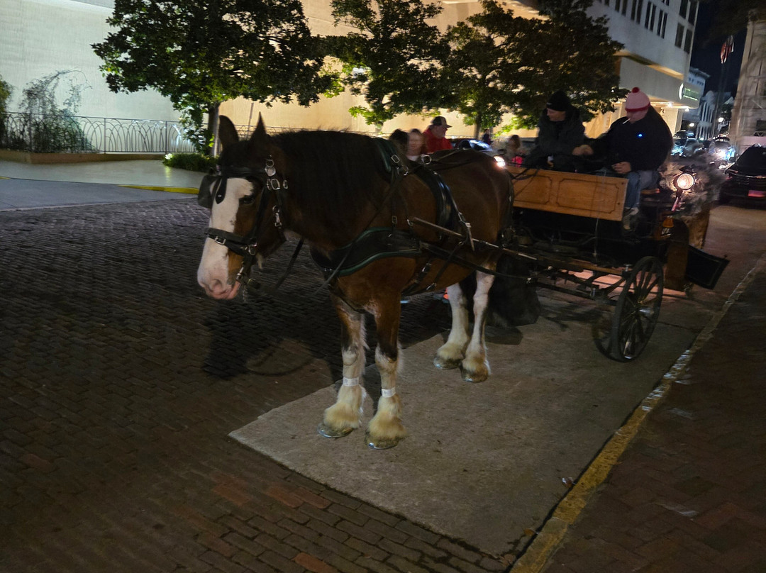 Savannah Carriage Tours-萨凡纳必去景点