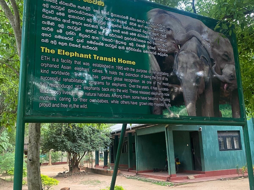 Elephant Transit Home (ETH)-乌达瓦拉维国家公园必去景点