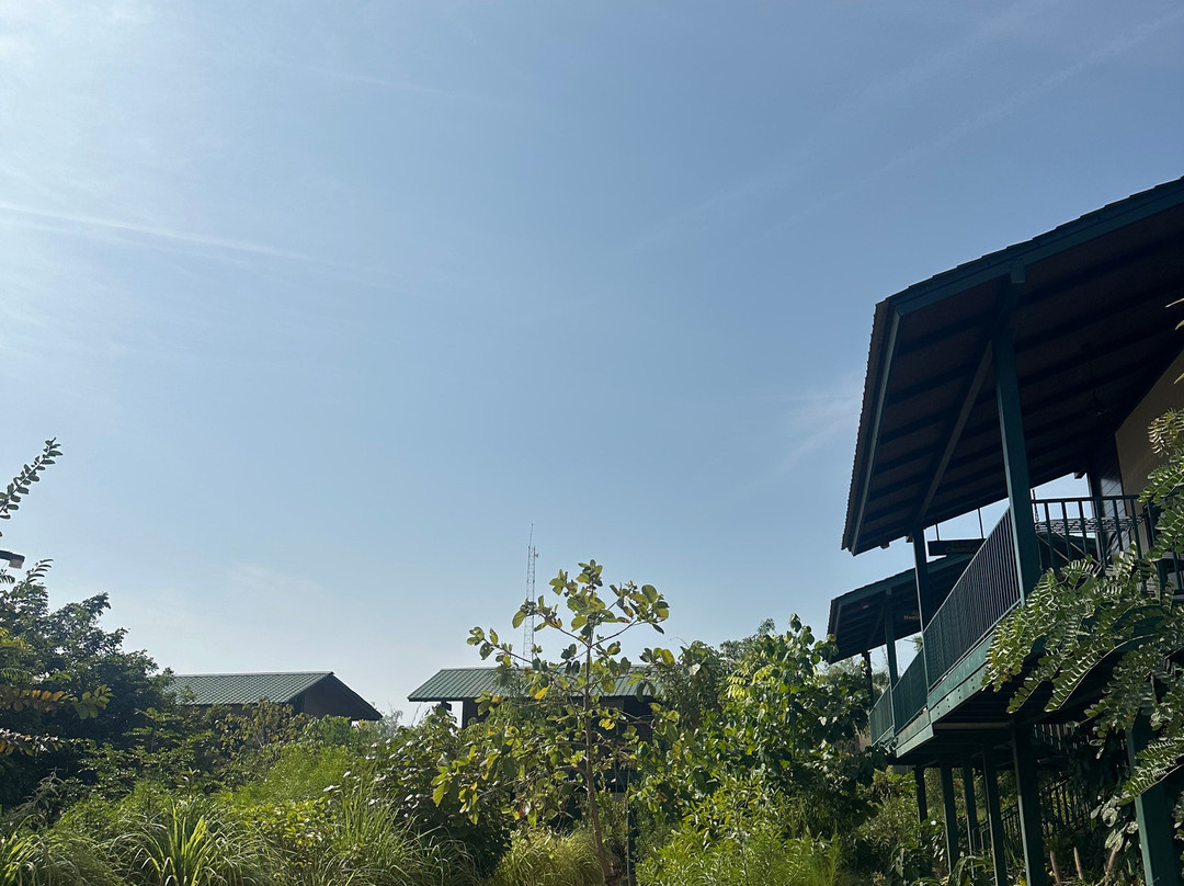 Tathastu Tadoba主图