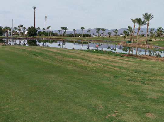 Pickalbatros Golf Course-沙姆沙伊赫必去景点