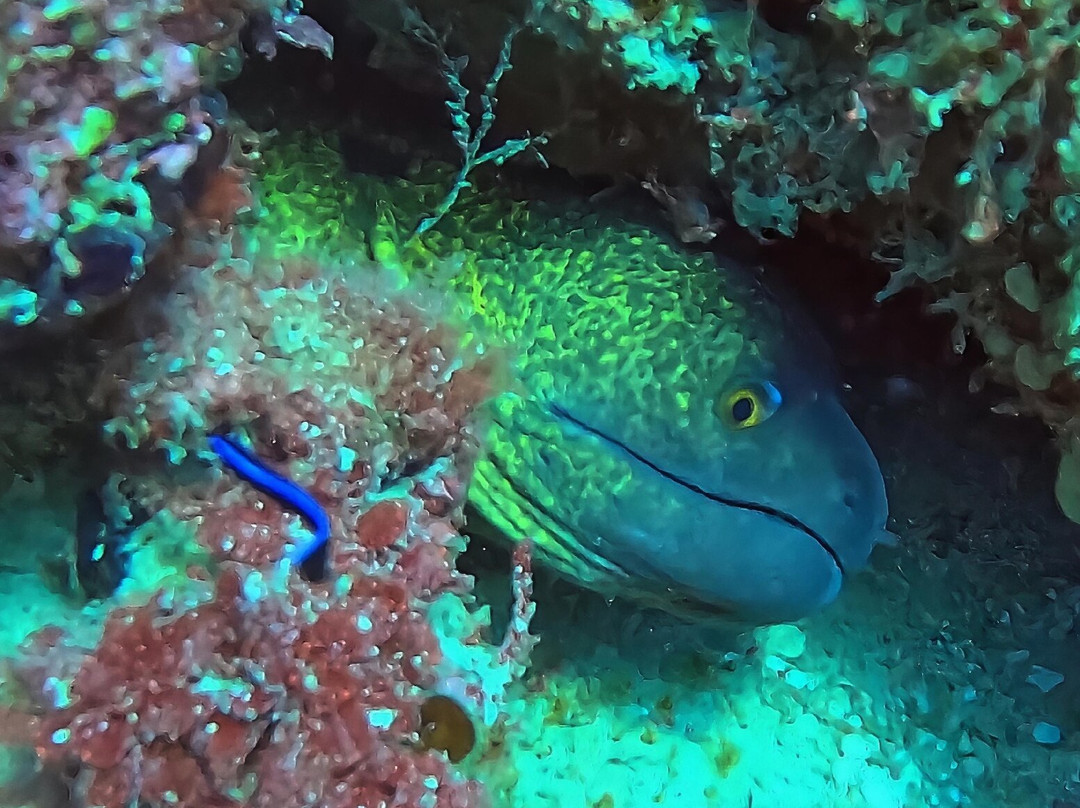 Scuba Duka-迪亚尼必去景点