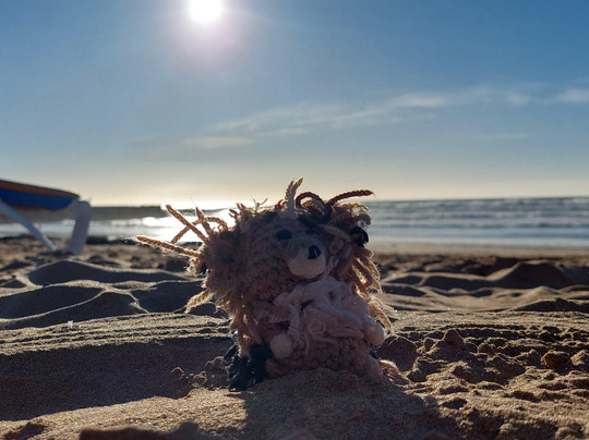 West Surf Morocco-阿加迪尔必去景点