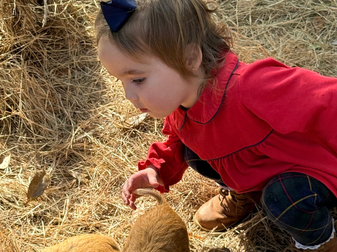 Redemptive Love Farm-Miccosukee必去景点