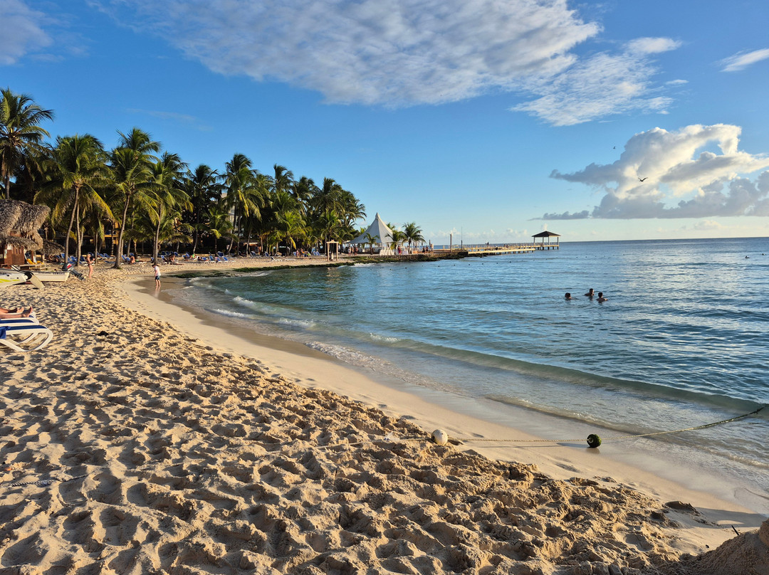 Mariposa Tours-Bayahibe必去景点