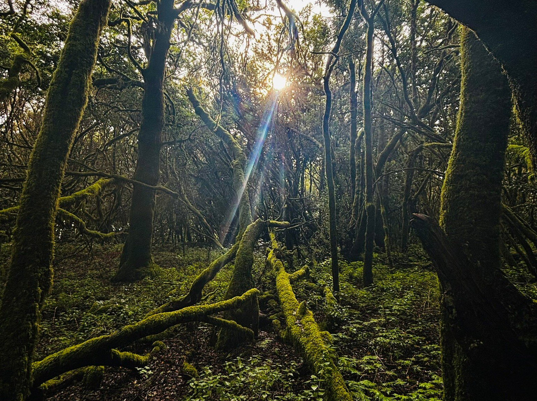 Timah-La Puntilla必去景点