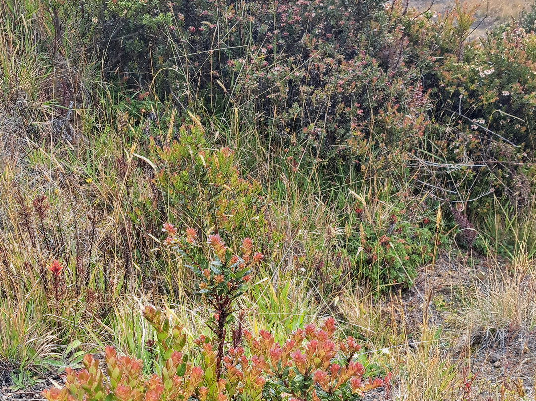 Peregrinus Expeditions-图里亚尔瓦必去景点