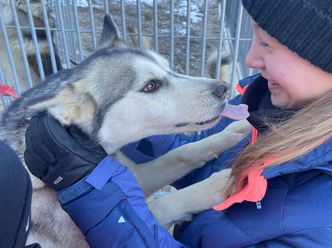 Kuma & Co-莱德萨阿尔卑斯必去景点