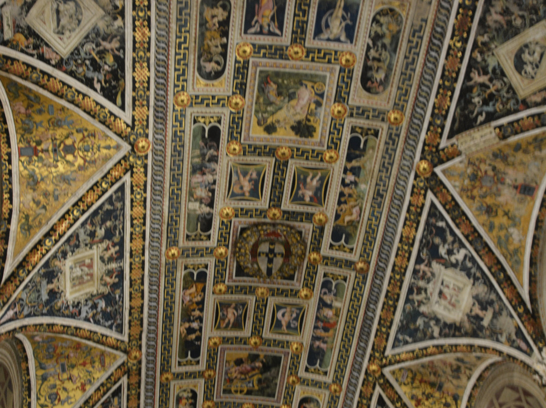 皮科罗米尼家族图书馆-锡耶纳必去景点