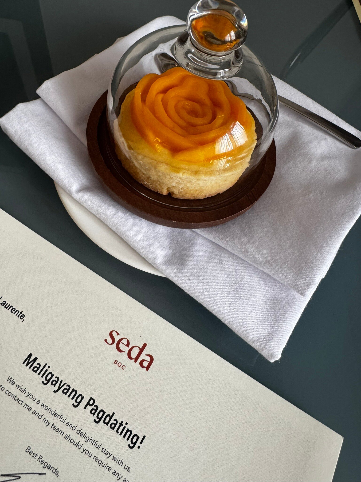 塞达博尼法西奥全球城市酒店-官方