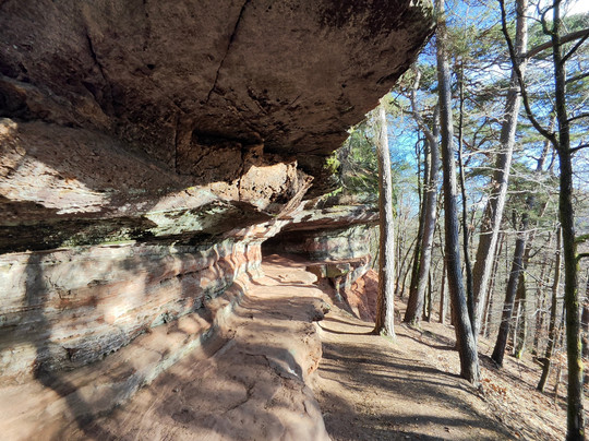 Altschlossfelsen-Eppenbrunn必去景点