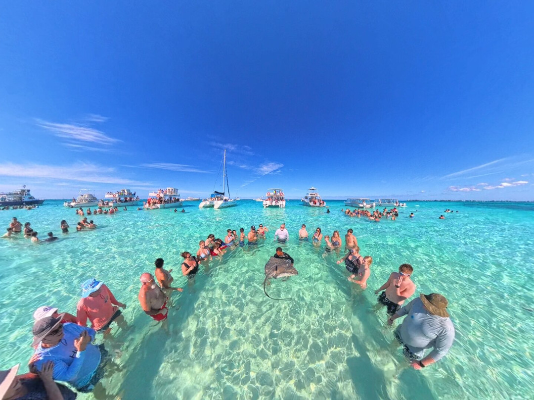 Anchor Tours-西湾必去景点